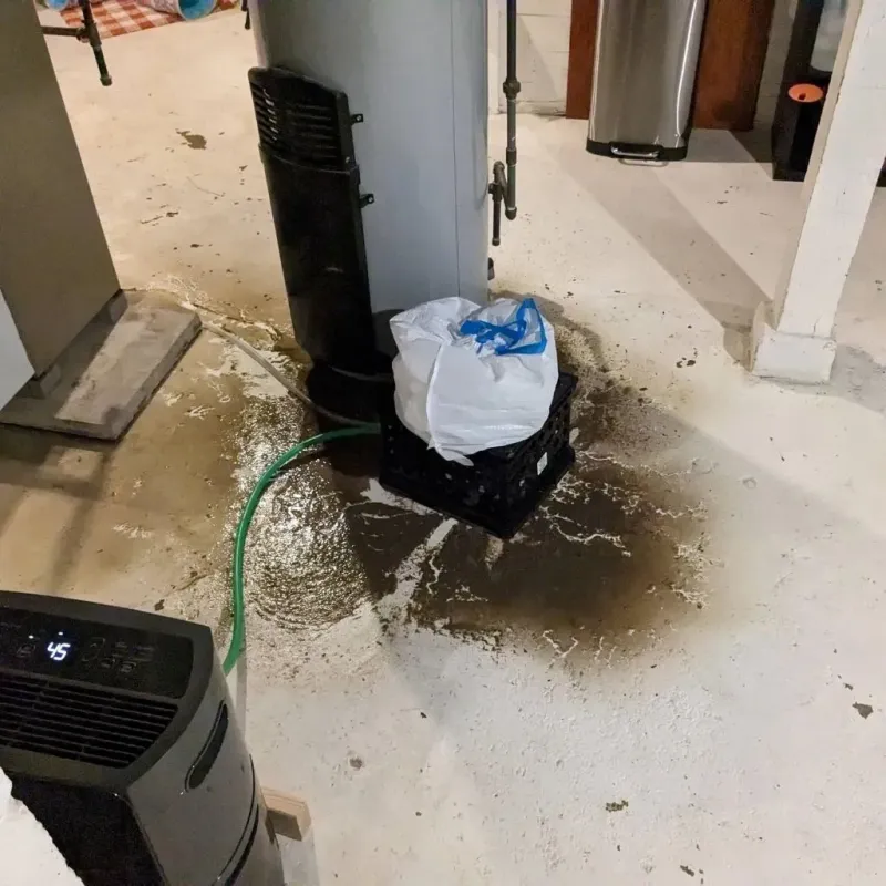 Sewage Backup Cleanup Service in Wallowa County, OR